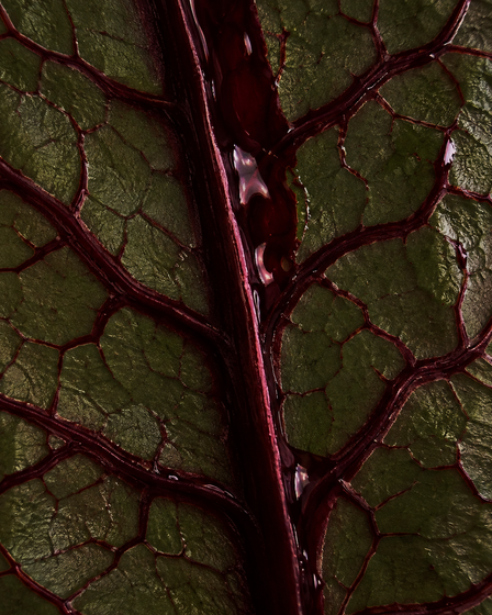 Slide 6